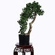 Sharetrade Artificial Plant and Tree Manufacturer Co., Ltd